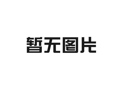 精密伺服壓機